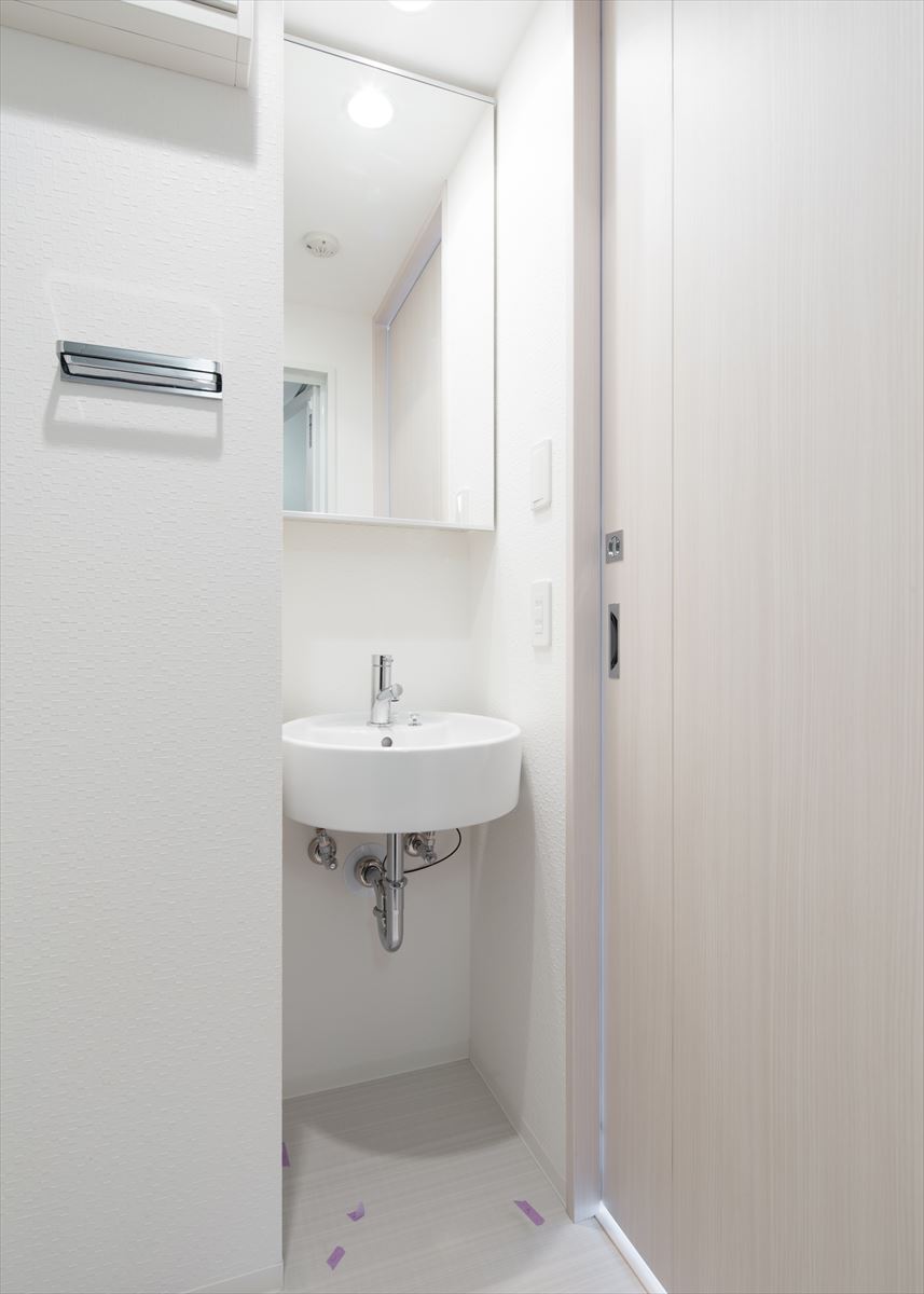 DIPS小竹向原206号室 洗面