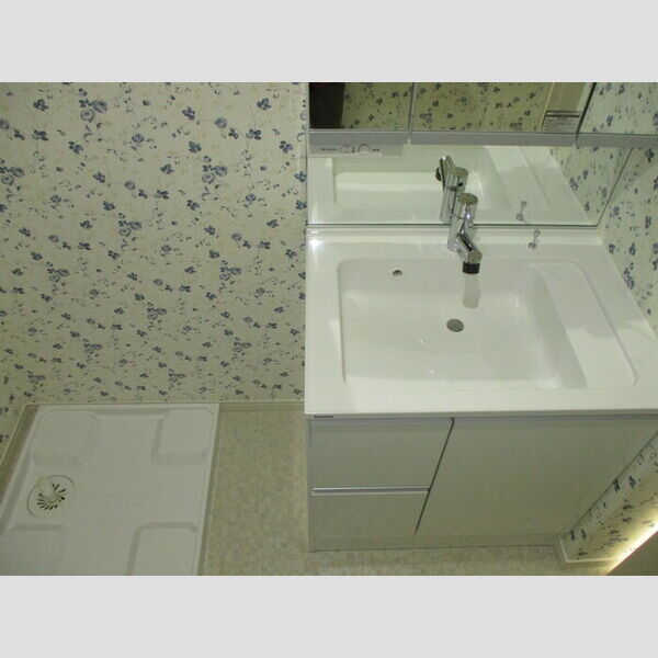 Dame Blanche(ダム ブランシェ)～白い貴婦人～ 201(洗髪洗面化粧台、室内洗濯機置場)