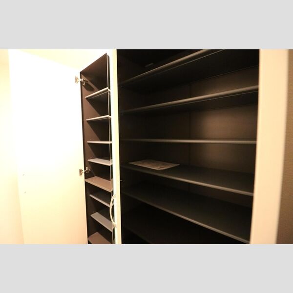 ミレニアセジュール熊谷203号室 シューズボックス(トールタイプ)