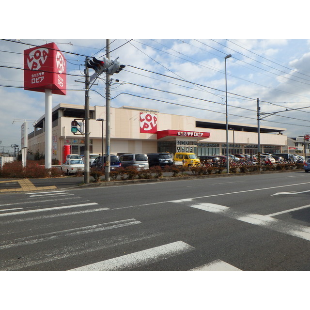 グリーンプラザＡ棟A206号室 ロピア石川店