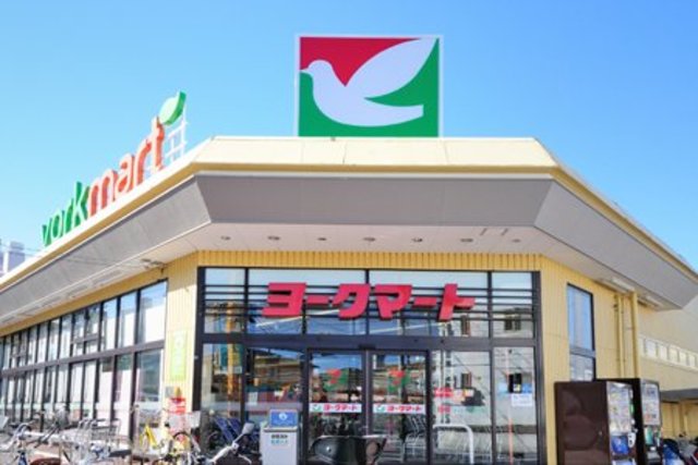 フローラ大倉山 【デパート】ヨークマート大倉山店まで665ｍ