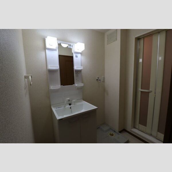 スマートFⅡ206号室 洗面所
