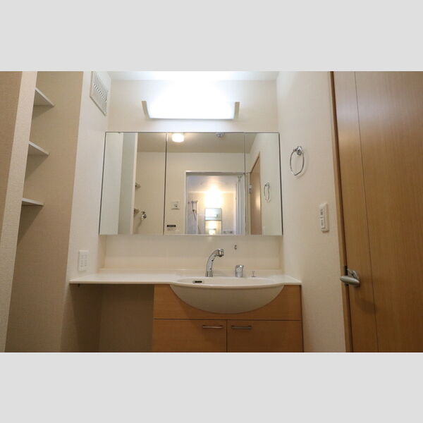 ヘリオス吉川美南　ポセイドン301号室 洗髪洗面化粧台