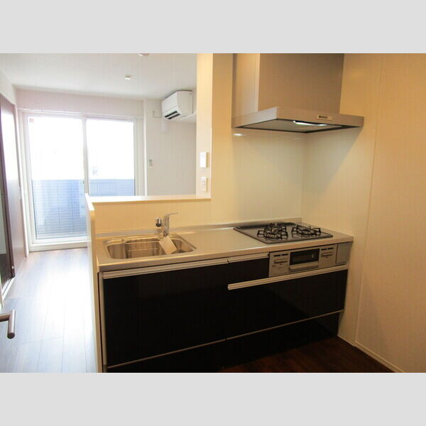 D-PALACE富士見 対面式3口ガスコンロ付システムキッチン