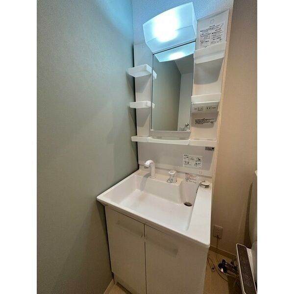 Ambition岩槻本町103号室 洗面
