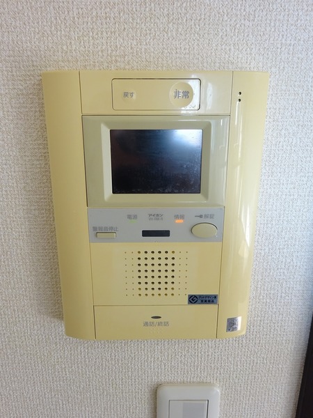 トーシンフェニックス武蔵関803号室 その他