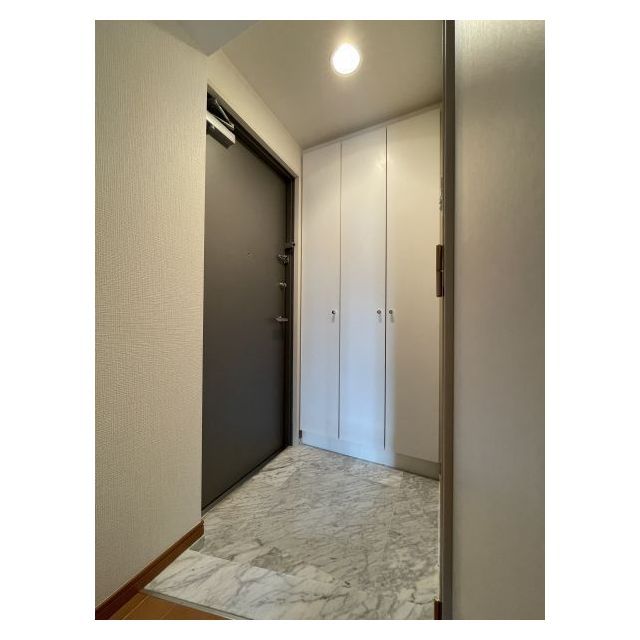 セントラル銀座1104号室 玄関