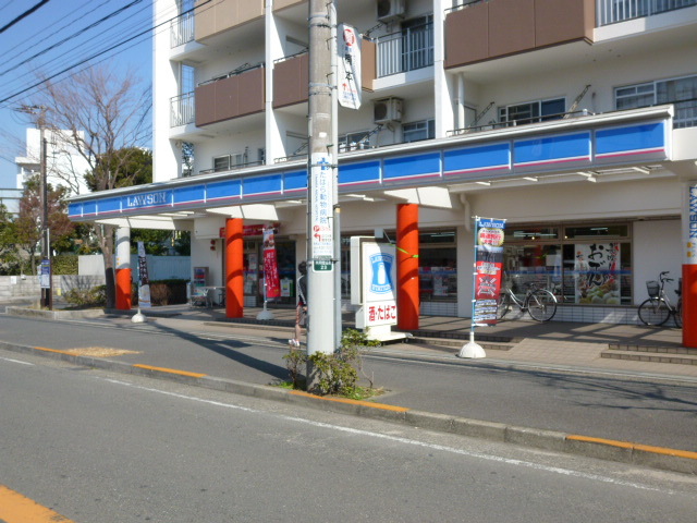 グランクオール元住吉 【コンビニエンスストア】ローソン木月住吉店まで306ｍ