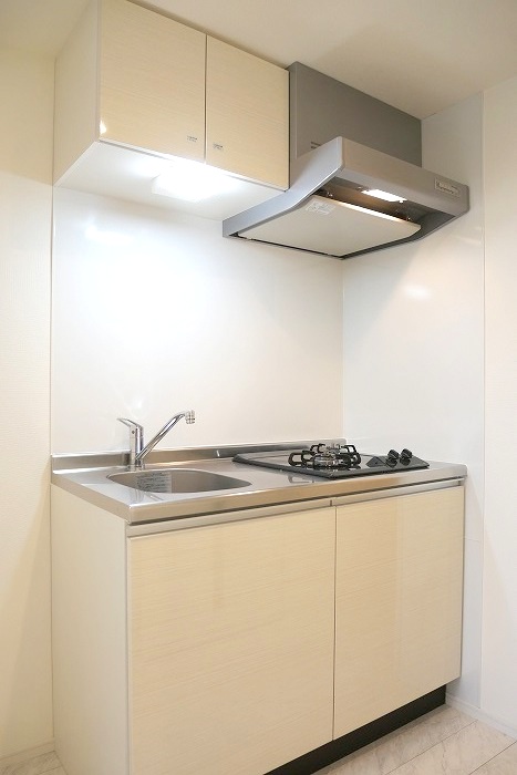 ラフィスタ鷺沼（北棟）3階 内観