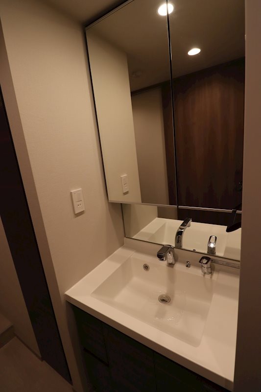 ジェノヴィア新大塚1階 洗面