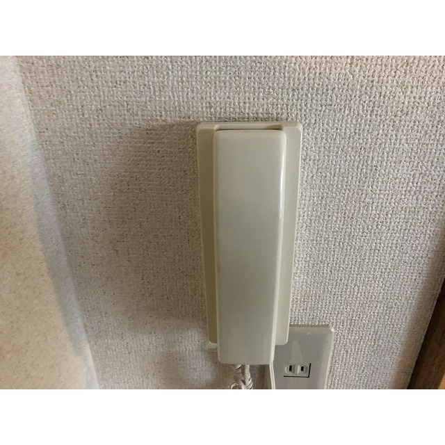 ルナ0202号室 インターホン