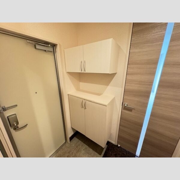 ロイジェントパークス レイクタウン Ⅱ　D 玄関・シューズボックス