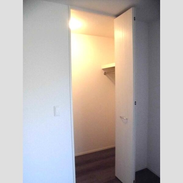 アナシエ南篠崎町Ⅰ202号室 クローゼット