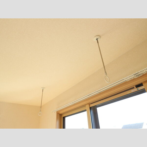 ルインズ・イン・マルヤマ　ABCDEFE103号室 同建物別部屋の参考画像