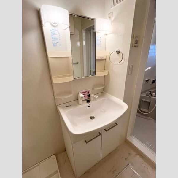 メゾン グリーンヒル301号室 洗面