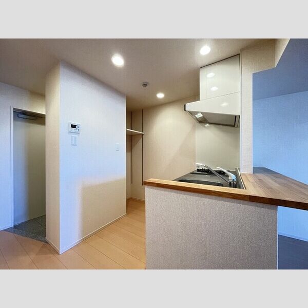 ジェイ・エス・ティ横浜東501号室 キッチンスペース