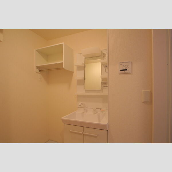 レインボー皿沼101号室 洗面