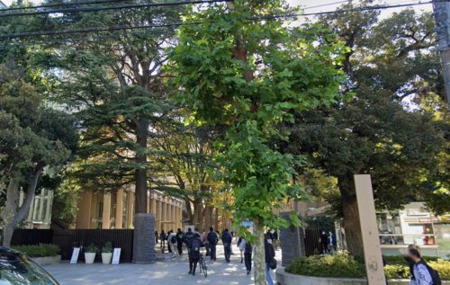 テラス新江古田1B号室 【大学】武蔵大学 江古田キャンパスまで904ｍ