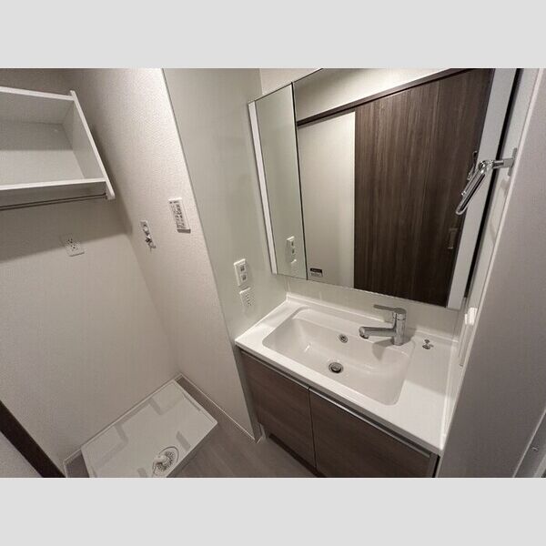 ディーラヴェニュー208号室 洗面所