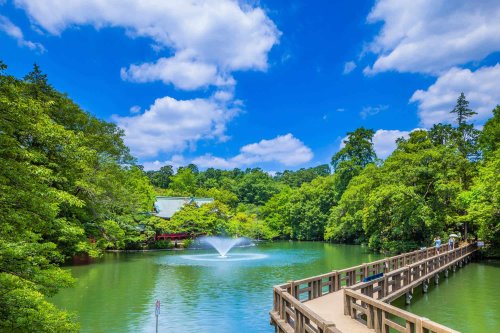 ＧＲＡＮ ＰＡＳＥＯ吉祥寺3階 【公園】井の頭公園まで1221ｍ