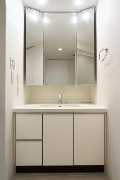 アパートメンツ三田10階 洗面