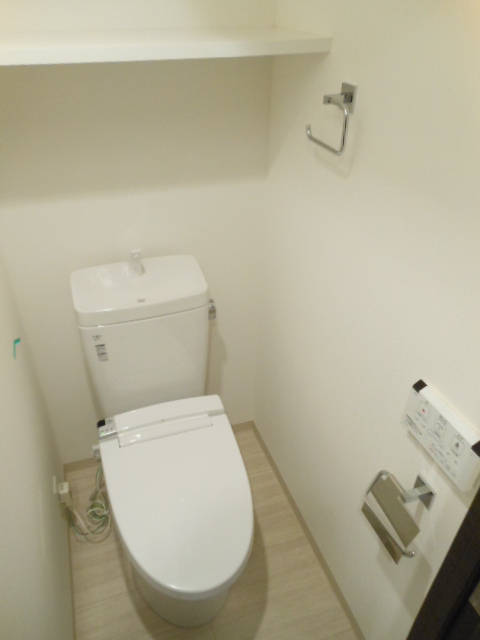 グランド・ガーラ大森Ⅱ 落ち着いたトイレです