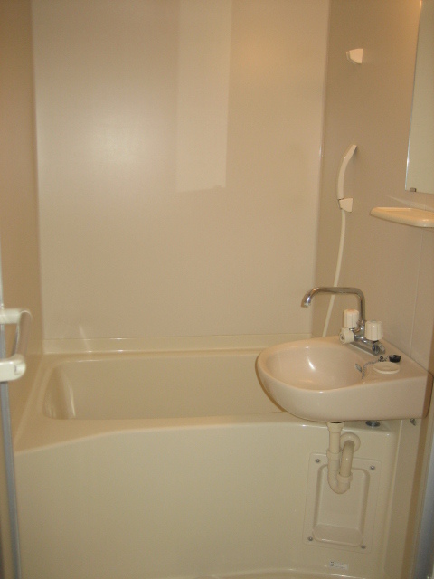 ヴィトレスク バス