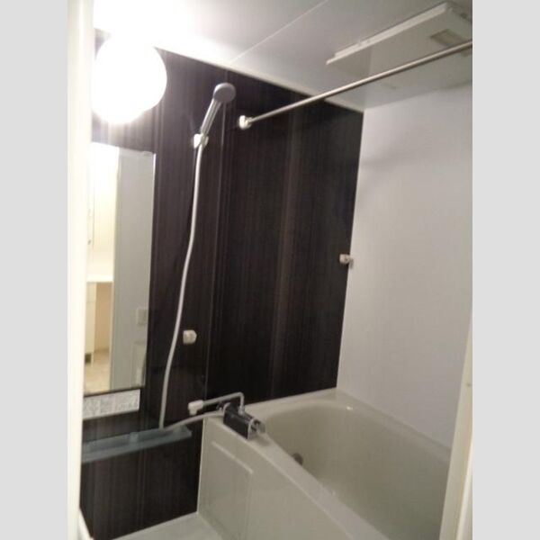 カーサ・ラ・ティーダ 201号室　浴室