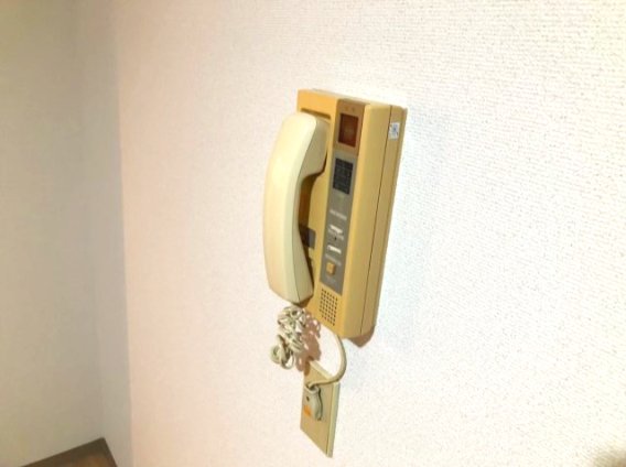 ワコーレエレガンス四ツ木403号室 セキュリティ