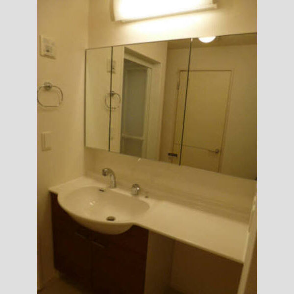 プレ・ド・ラ・ガールせんげん台208号室 洗髪洗面化粧台