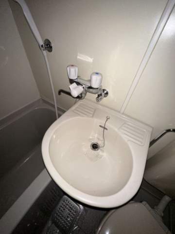 スカイコート金町第43階 洗面