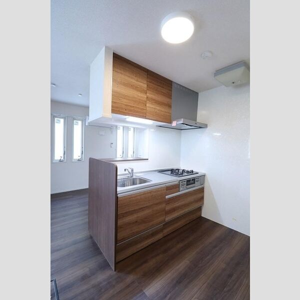 Amapola Annex(アマポーラ アネックス)115号室 三口ガスコンログリル付システムキッチン