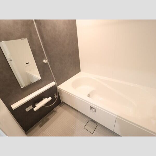 グレイスフルコート雅301号室 浴室