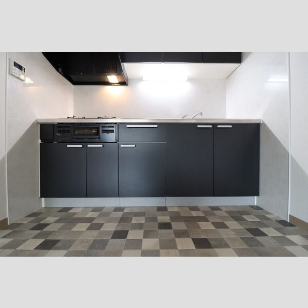 第2エコーピア システムキッチン