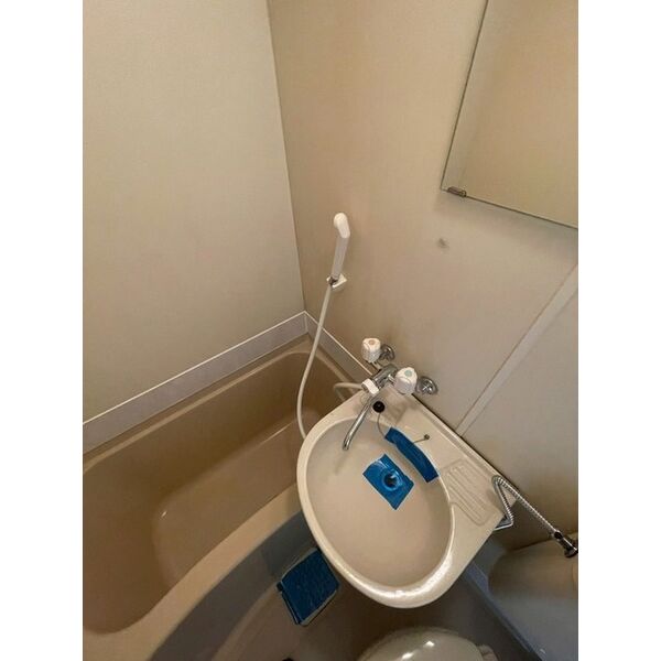 キャッスルマンション川越A棟 洗面