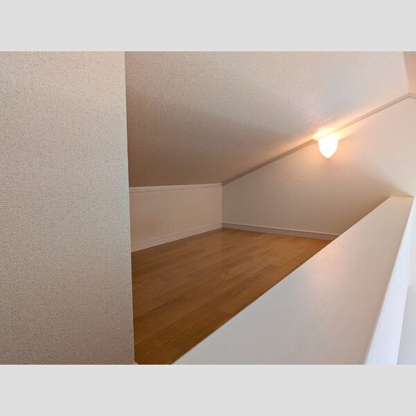 ハイツ岡沢　B202号室 ロフト