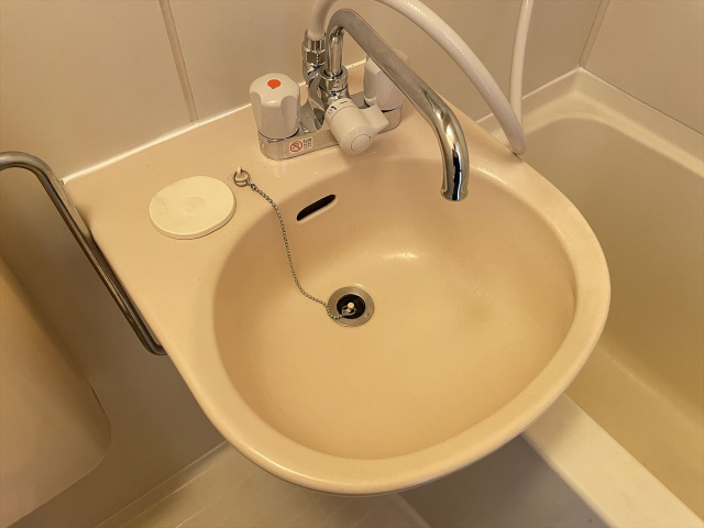 スカイコート川崎第２901号室 洗面