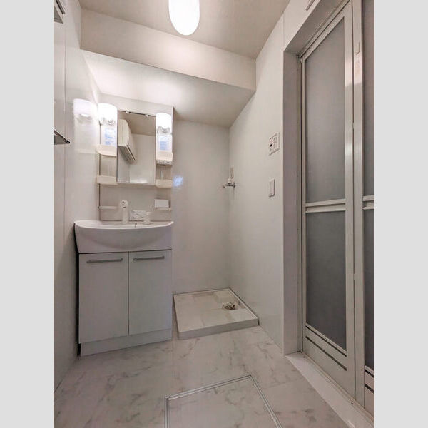 ウィスタリア　G206号室 洗面