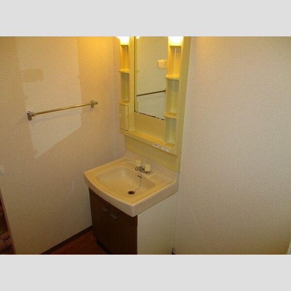 トリニシティ　壱番館102号室 洗面化粧台