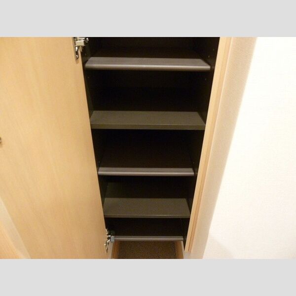 南桜101号室 玄関