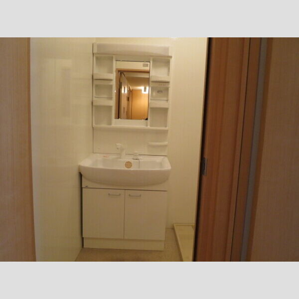 ウィルモア新松戸　B棟A101号室 洗髪洗面台