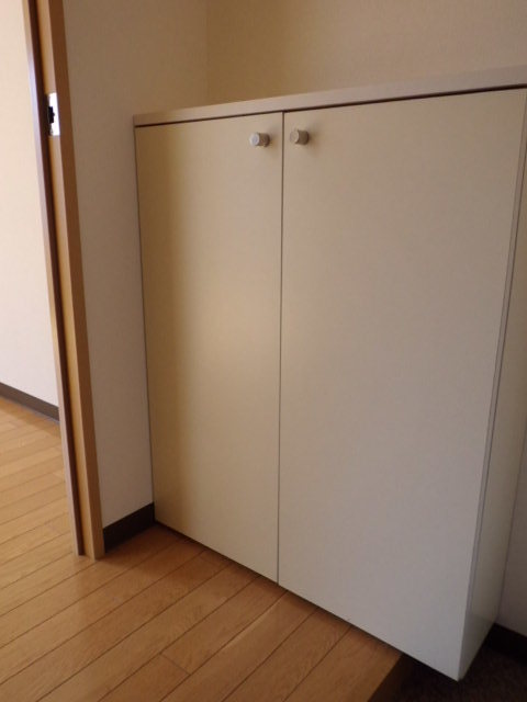 ルシオン0302号室 玄関