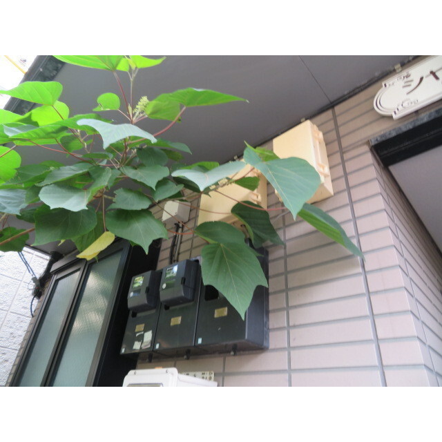 シャルム北新宿1階 郵便ポスト