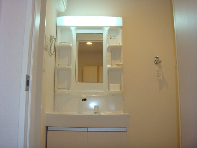 グレイシャス”Ｎ”202号室 洗髪洗面化粧台