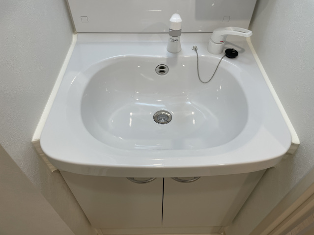 スカイコートリュクス品川大崎401号室 洗面