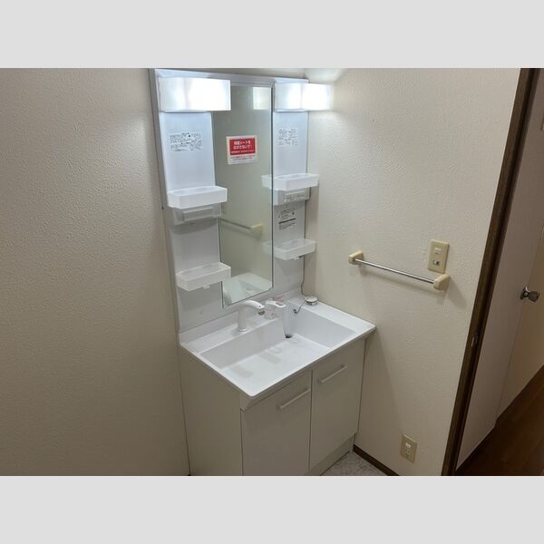 ウィッシュヒルズ102号室 洗面