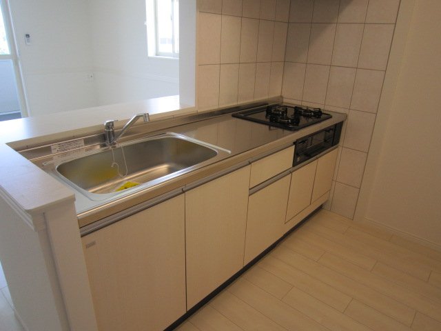 バード・ヴェール　(Ｂｉｒｄ・Ｖｅｒｔ)202号室 システムキッチン