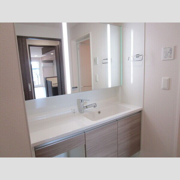 ラ・ペッシュ208号室 洗髪洗面化粧台