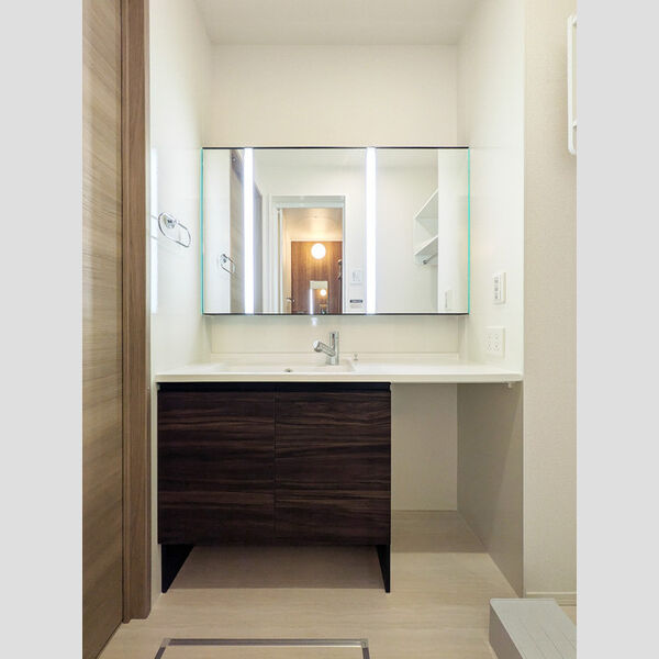 D-ROOM PREMIUM 多磨霊園駅103号室 洗面所