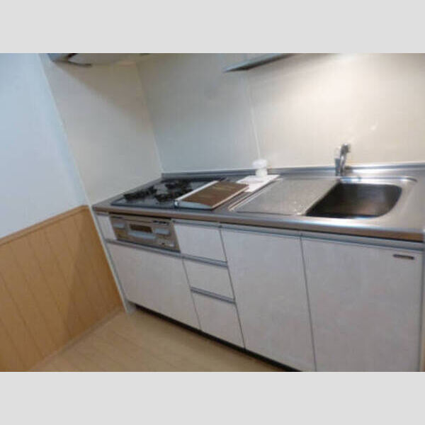 ロイヤルパレス市川305号室 キッチン